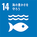14 | 海の豊かさを守ろう