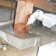 床下でシロアリ退治！