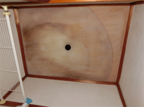 トイレ天井：施工前