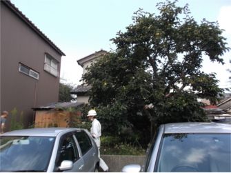 外構リフォーム：施工前