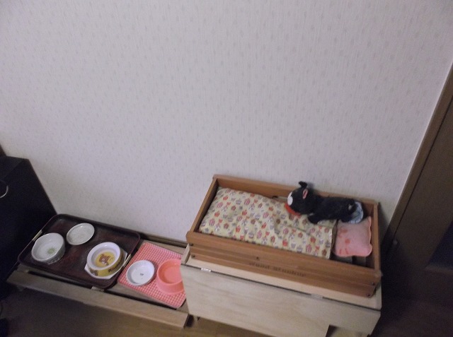 ペットリフォーム：施工前