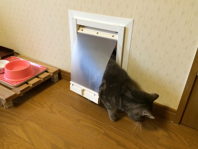ペット・リフォーム！！　猫ちゃん専用ドア新設＾＾