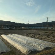 ファイル 2017-03-13 17 58 12