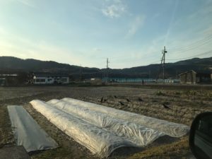 ファイル 2017-03-13 17 58 12