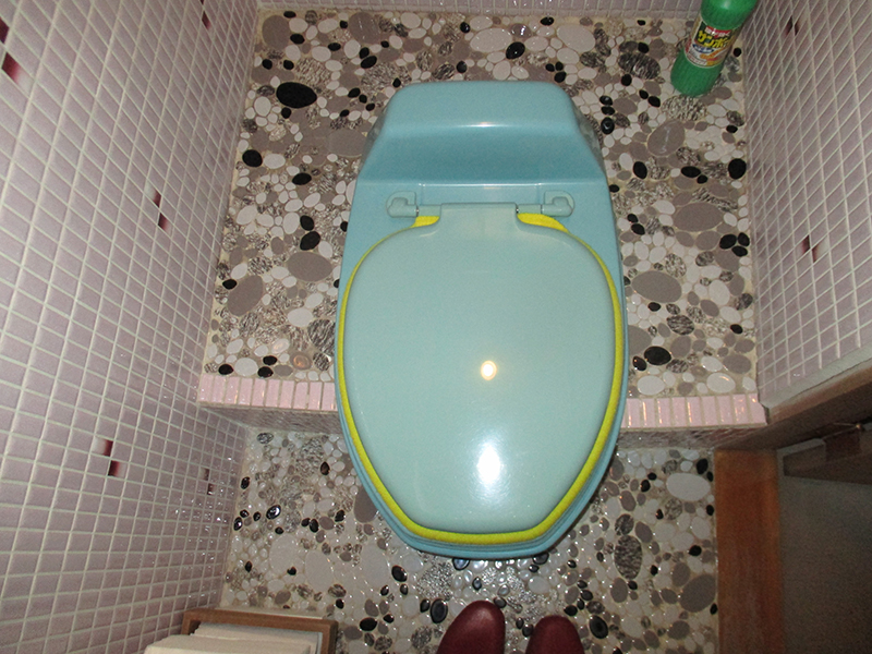 新潟市東区・トイレ交換ビフォー写真